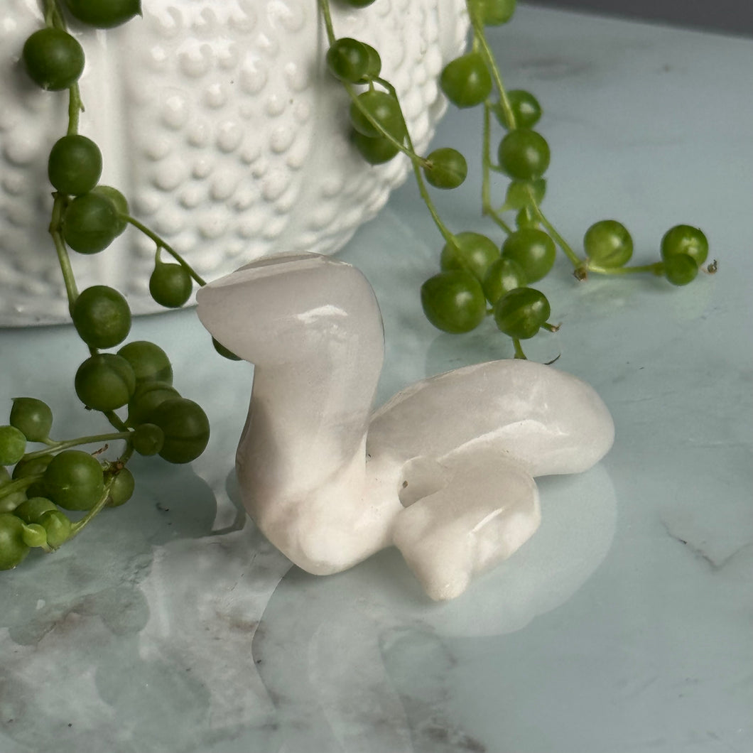 Agate Snake Crystal Craving Specimen