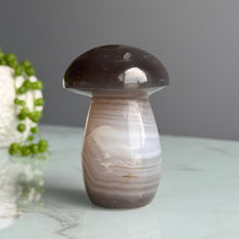 Agate Mushroom Specimen