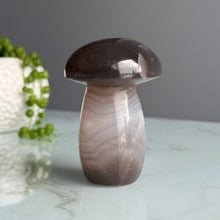 Agate Mushroom Specimen