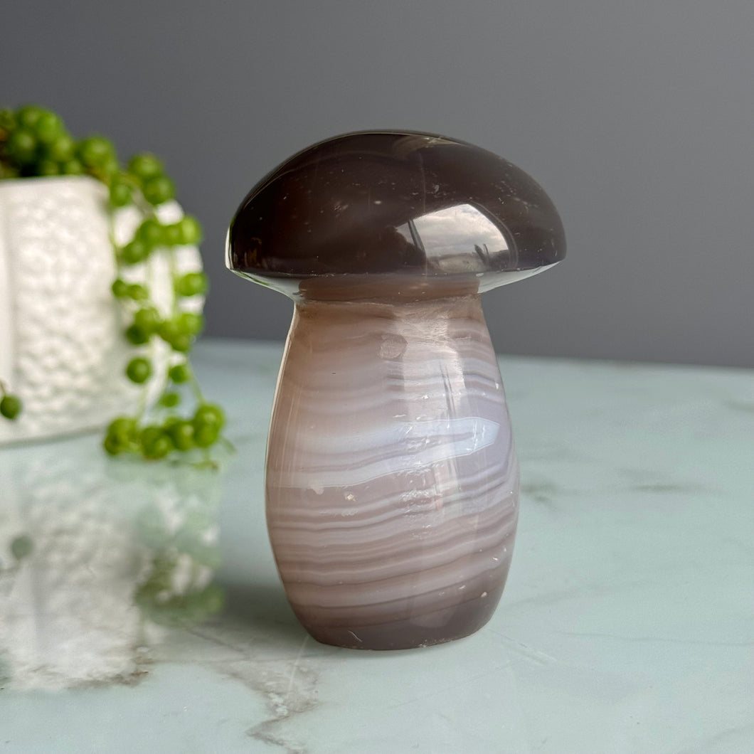 Agate Mushroom Specimen