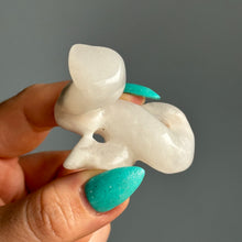 Agate Snake Crystal Craving Specimen