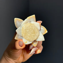 Agate Druzy Lotus Flower Carving specimen