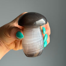 Agate Mushroom Specimen