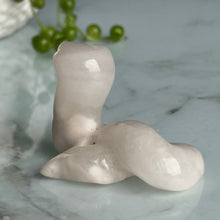 Agate Snake Crystal Craving Specimen