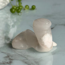 Agate Snake Crystal Craving Specimen