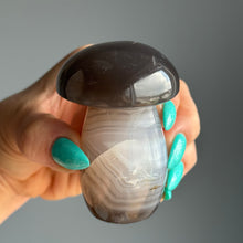 Agate Mushroom Specimen
