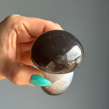 Agate Mushroom Specimen