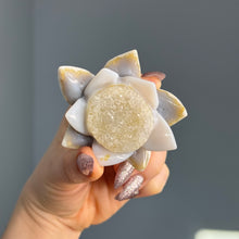 Agate Druzy Lotus Flower Carving specimen