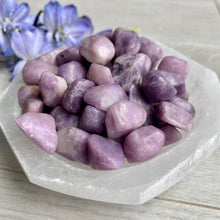 Lepidolite tumbled pocket stone crystal (xs)
