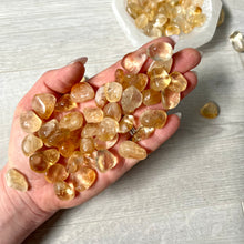 Citrine (HTA) Tumbled Pocket Stone (Small) Crystal Specimen