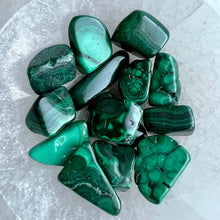 Malachite tumbled pocket stone specimen (xsm)