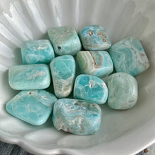 Blue Aragonite/Caribbean Calcite Pocket Stone Crystal Specimen SM
