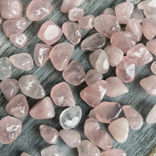 Rose Quartz (xxsm) tumbled pocket stone crystal specimen  low