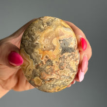 Crazy Lace Agate Palm Stone Specimen – Wholehearted Crystal Creations