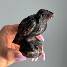 Garnet in Arfvedsonite Raven Carving Specimen