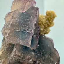 Blue Fluorite Crystal Cluster Specimen