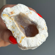 Orca Agate Druzy Geode Specimen