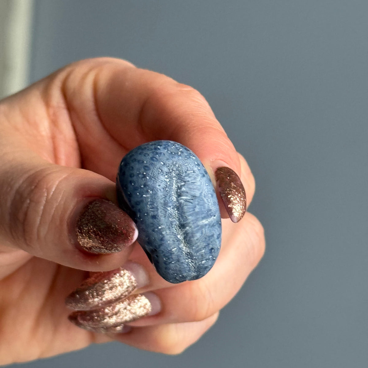 Blue Coral Tumbled Pocket Stone Crystal Specimen – Wholehearted Crystal Creations