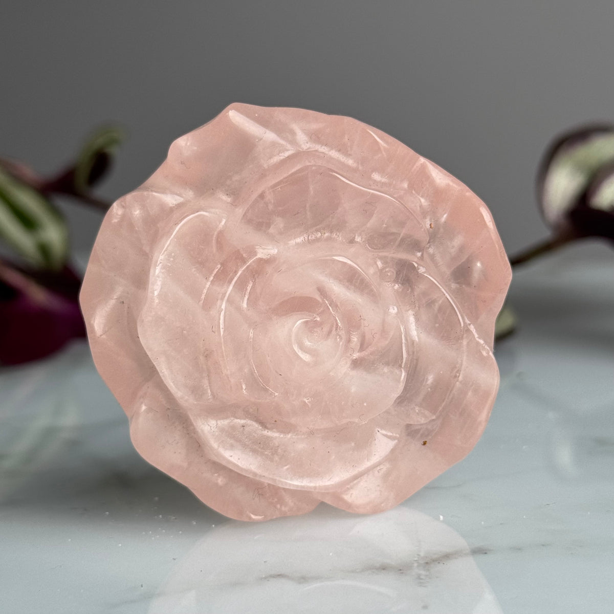 Rose Quartz carved rose specimen — close-up detail