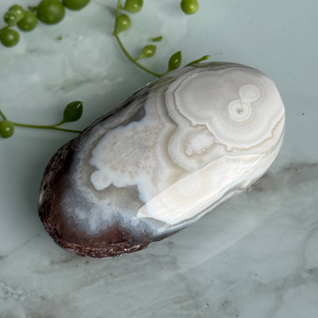 Crazy Lace Agate Palm Stone Crystal Specimen – Wholehearted Crystal Creations
