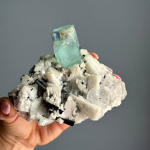 AAA Rare Aquamarine Specimen on Tourmalated Quartz Matrix