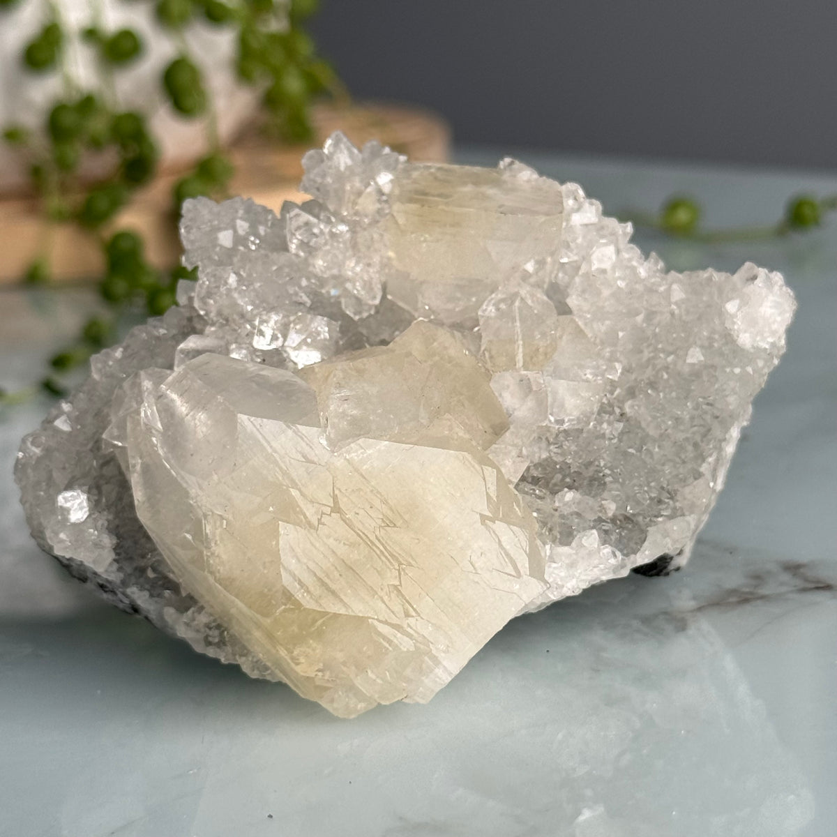 Apophyllite Raw Crystal Specimen – Wholehearted Crystal Creations