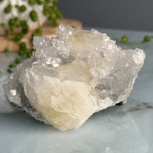 Apophyllite Raw Crystal Specimen – Wholehearted Crystal Creations