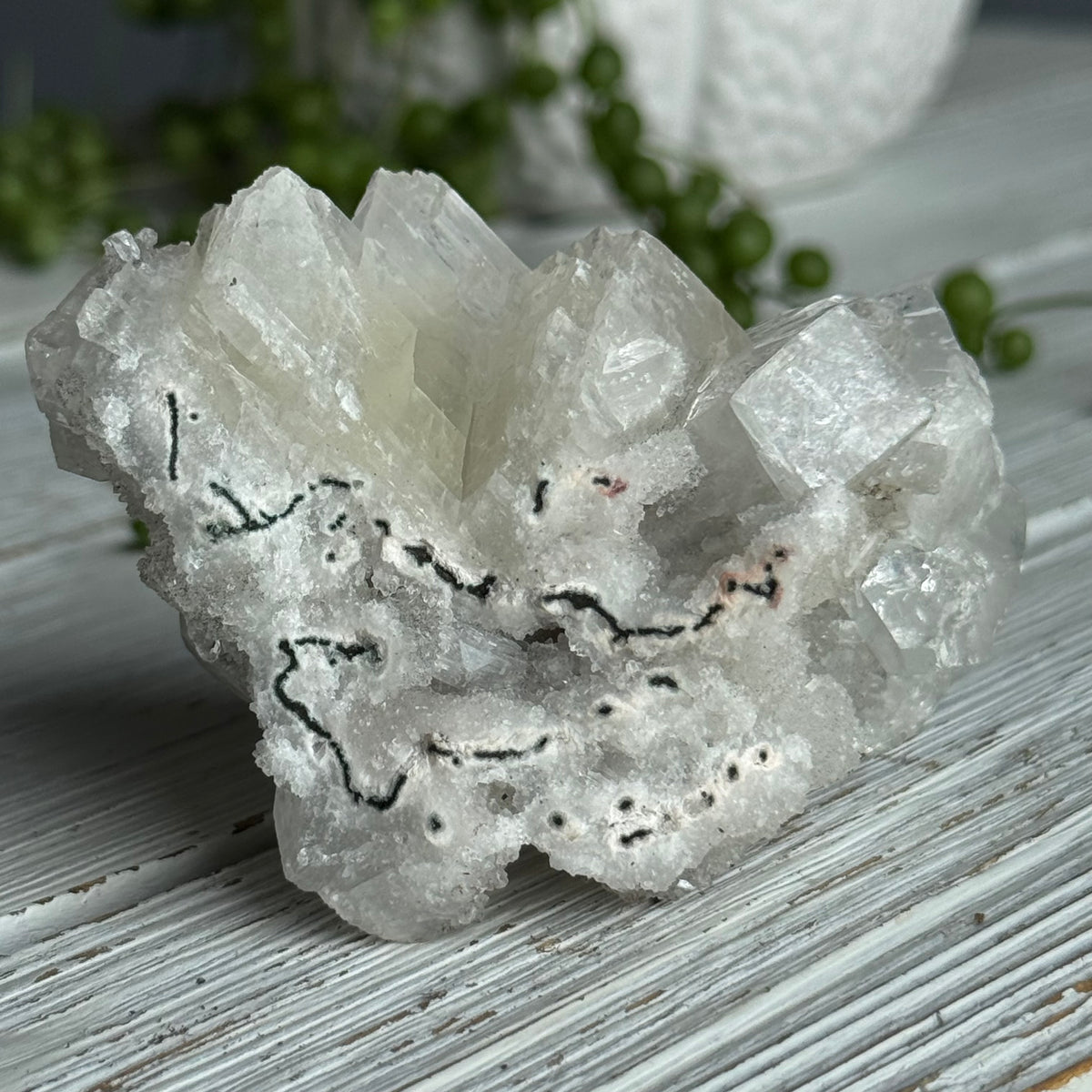 Apophyllite Raw Crystal Specimen – Wholehearted Crystal Creations