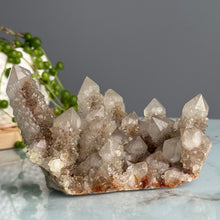 Spirit Quartz Raw Crystal Specimen – Wholehearted Crystal Creations
