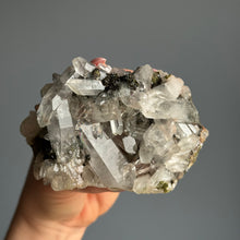 Epidote + Chlorite in Quartz Specimen #1