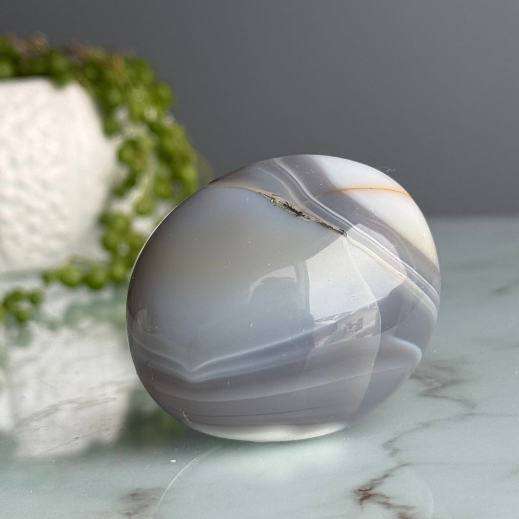 Orca Agate Palm Stone Crystal Specimen