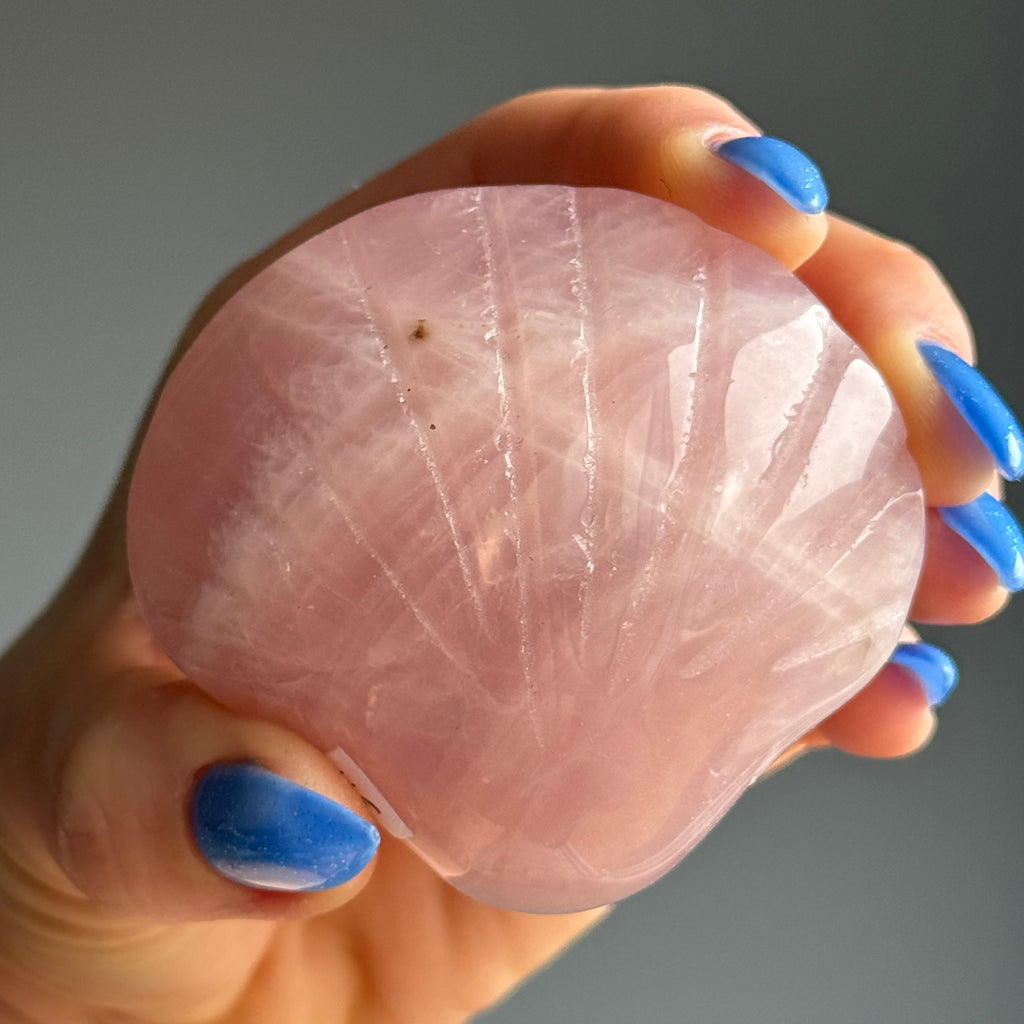 Rose Quartz Seashell Carving Crystal Specimen – Wholehearted Crystal Creations