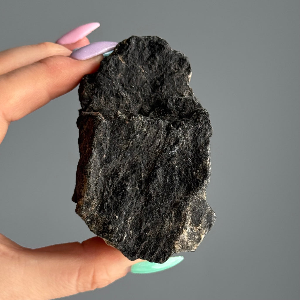 Black Tourmaline raw crystal specimen — reverse side