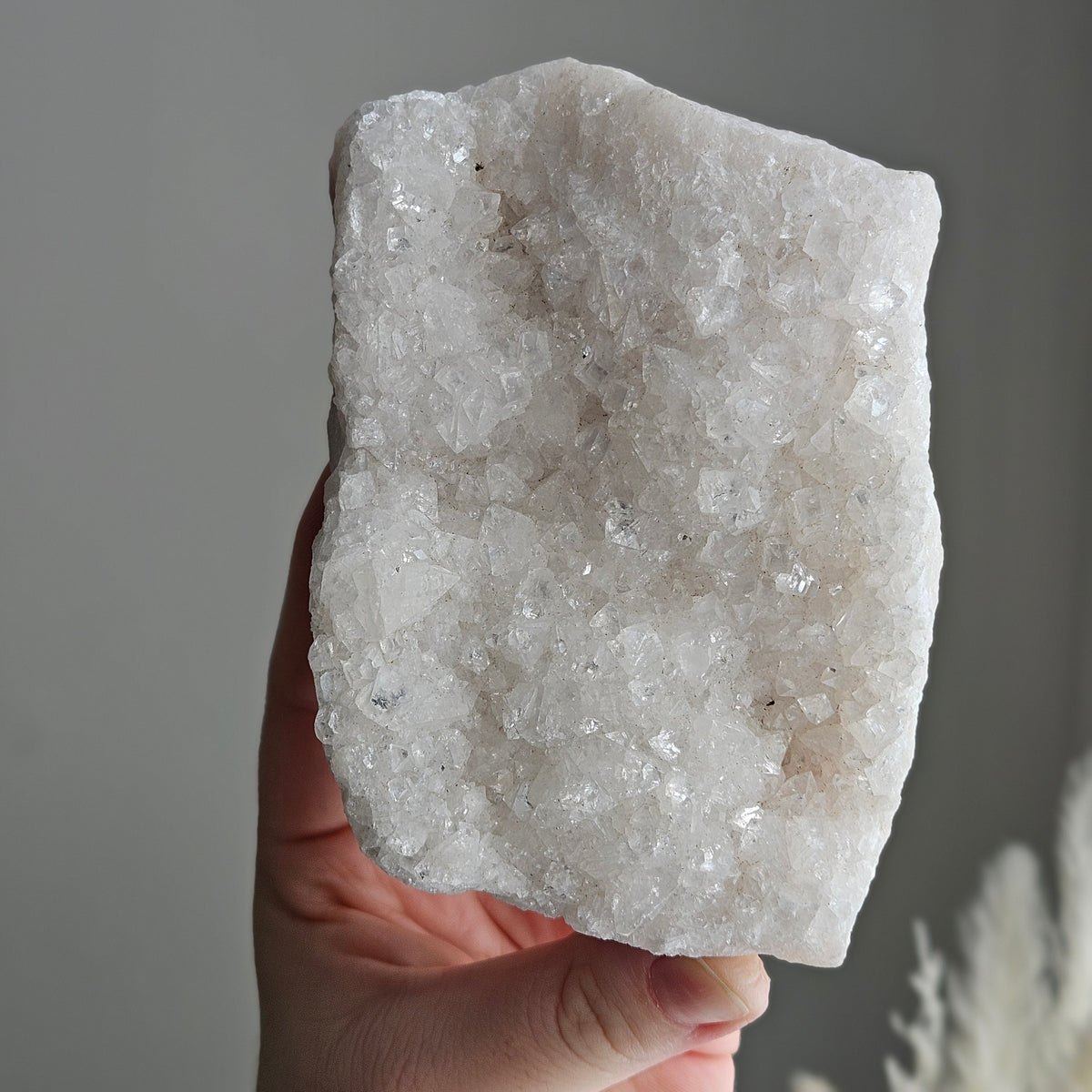 Pink Apophyllite Cluster Crystal Specimen – Wholehearted Crystal Creations