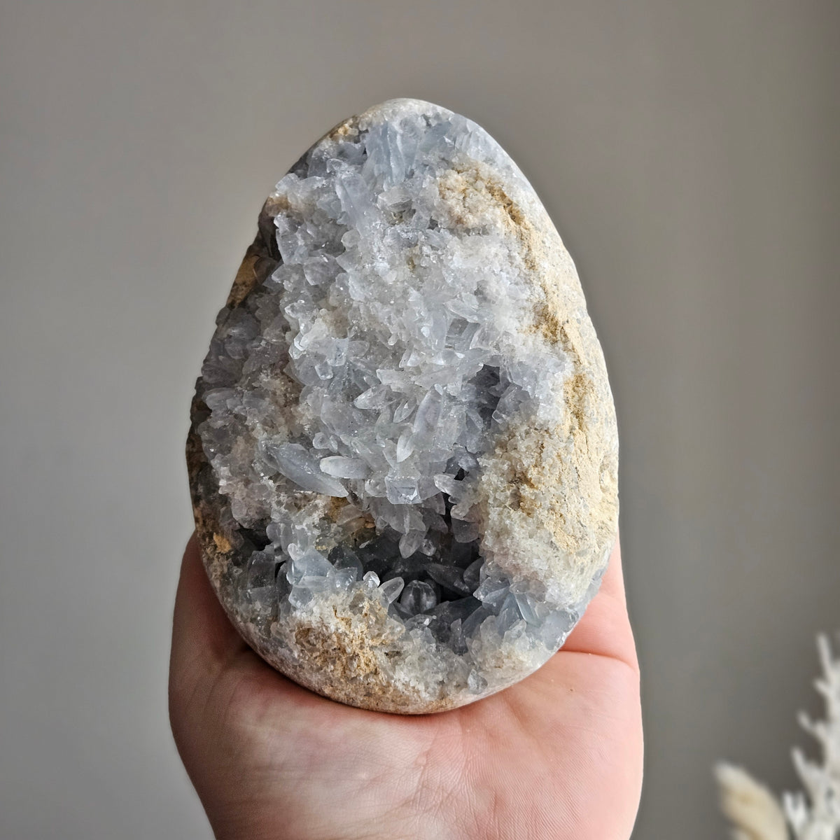 Celestite Raw Crystal Specimen – Wholehearted Crystal Creations
