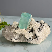 AAA Rare Aquamarine Specimen on Tourmalated Quartz Matrix