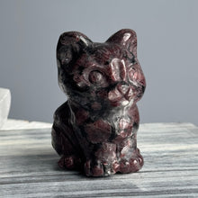 Garnet in Arfvedsonite Cat Carving Specimen
