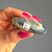Kyanite Palm Stone Crystal Specimen (K22)