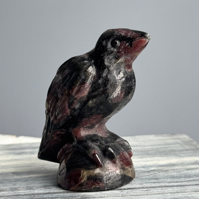 Garnet in Arfvedsonite Raven Carving Specimen