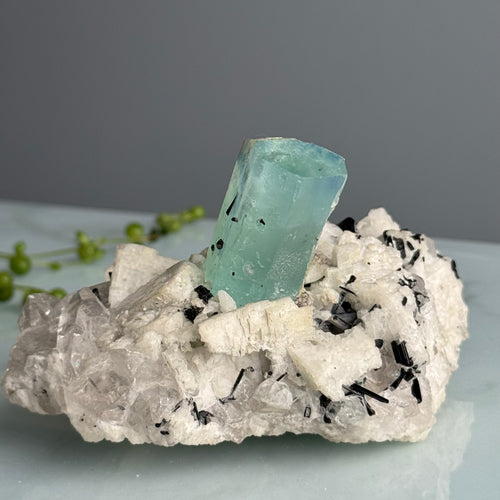 AAA Rare Aquamarine Specimen on Tourmalated Quartz Matrix – Wholehearted Crystal Creations