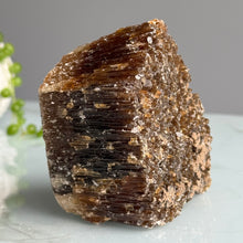 Honey (Amber) Calcite Raw Specimen