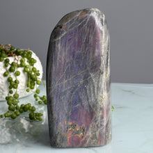 Purple Labradorite Freeform Crystal Specimen