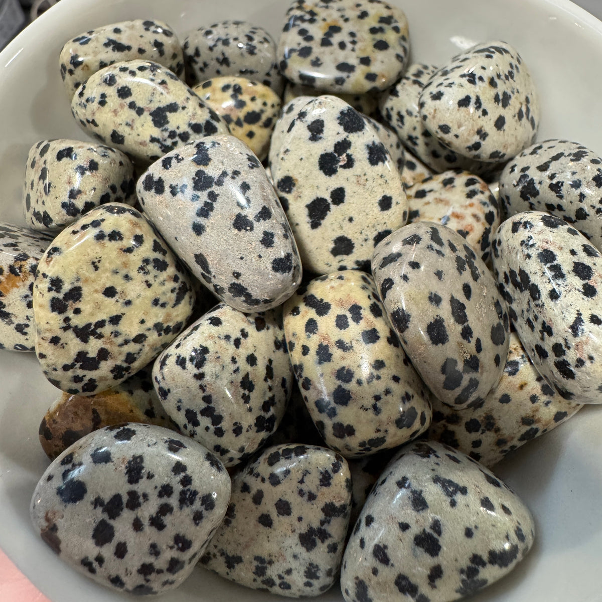 Dalmatian Jasper Tumbled Pocket Stone Crystal Specimen ($2-$5)