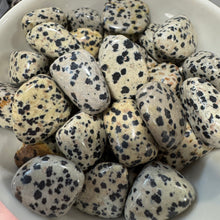 Dalmatian Jasper Tumbled Pocket Stone Crystal Specimen ($2-$5)