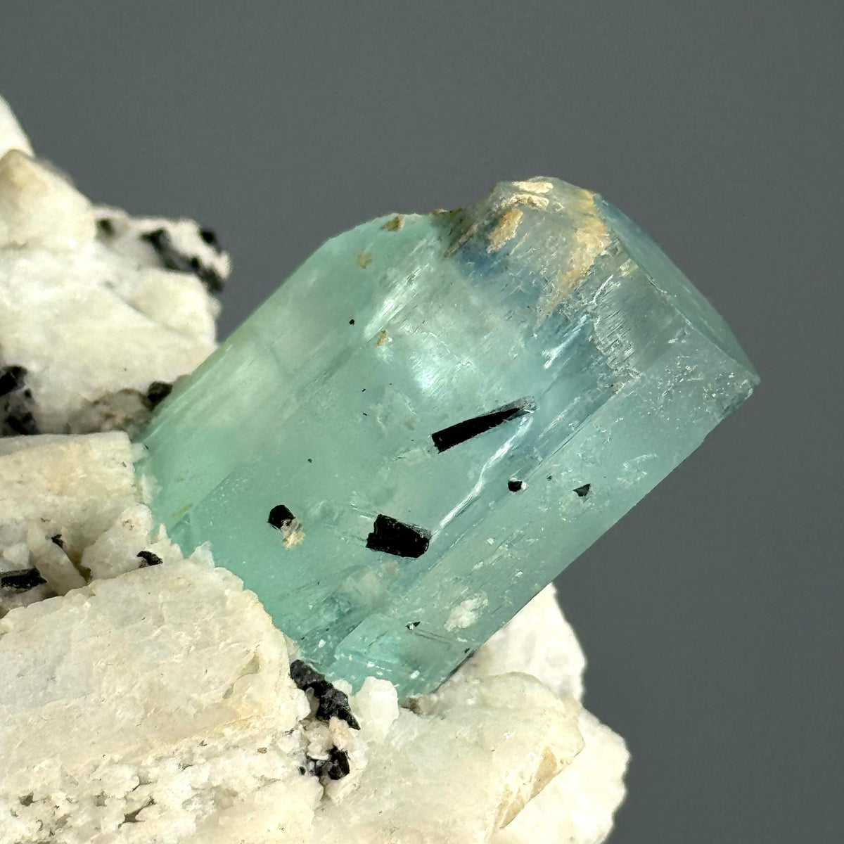 AAA Rare Aquamarine Specimen on Tourmalated Quartz Matrix – Wholehearted Crystal Creations