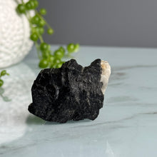 Sarah's Black Tourmaline & Clear Quartz Raw Duo