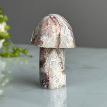 Crazy Lace Agate Mushroom Carving Specimen