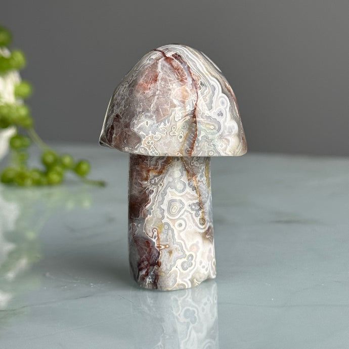 Crazy Lace Agate Mushroom Carving Specimen