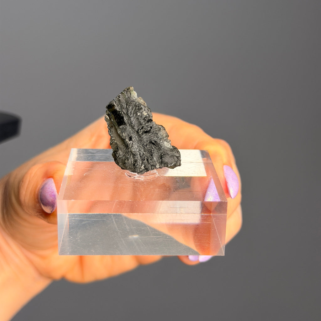Moldavite Raw Specimen #M4