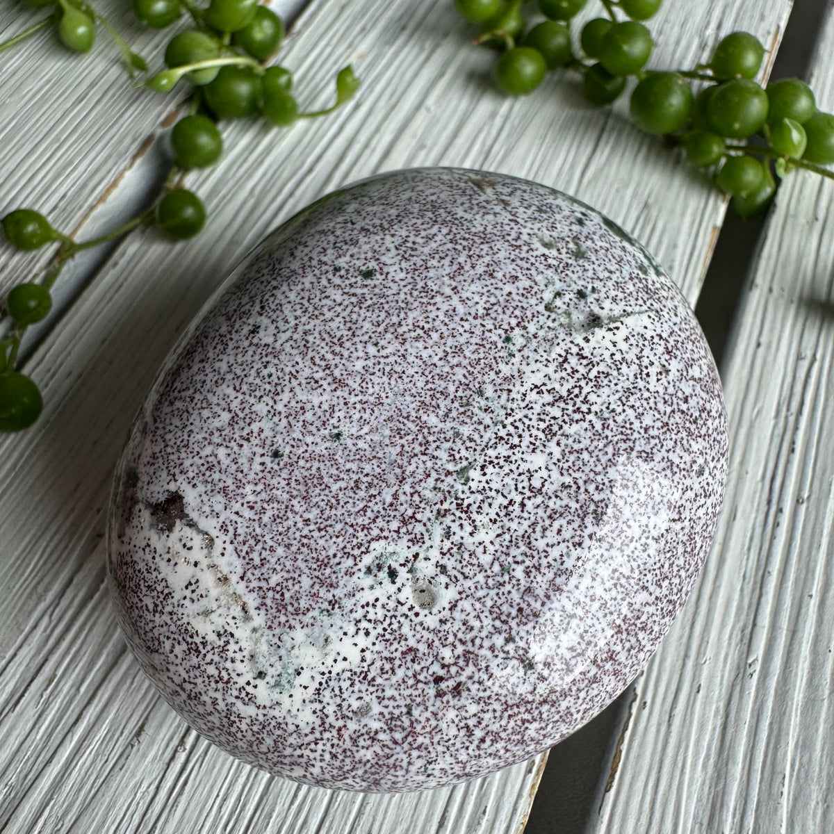 Ocean Jasper Palm Stone Specimen – Wholehearted Crystal Creations